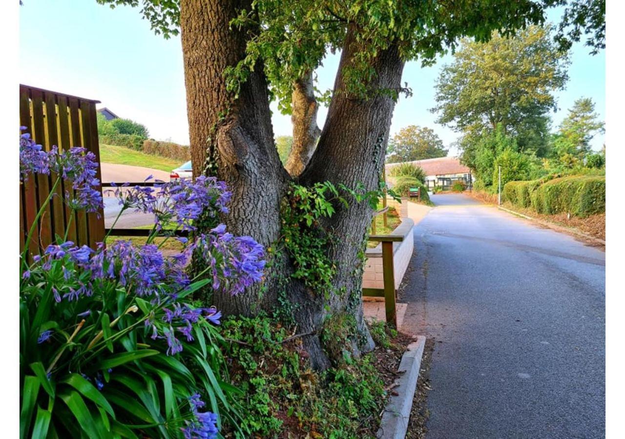 Butterfly Lodge Paignton Buitenkant foto
